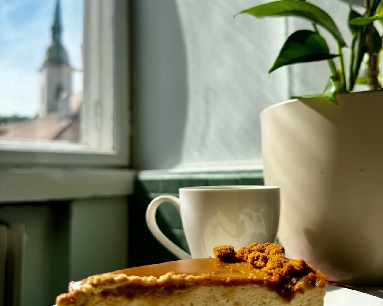 Extralarge Queen Room In The Heart Of Bratislava With Terrace 외부 사진