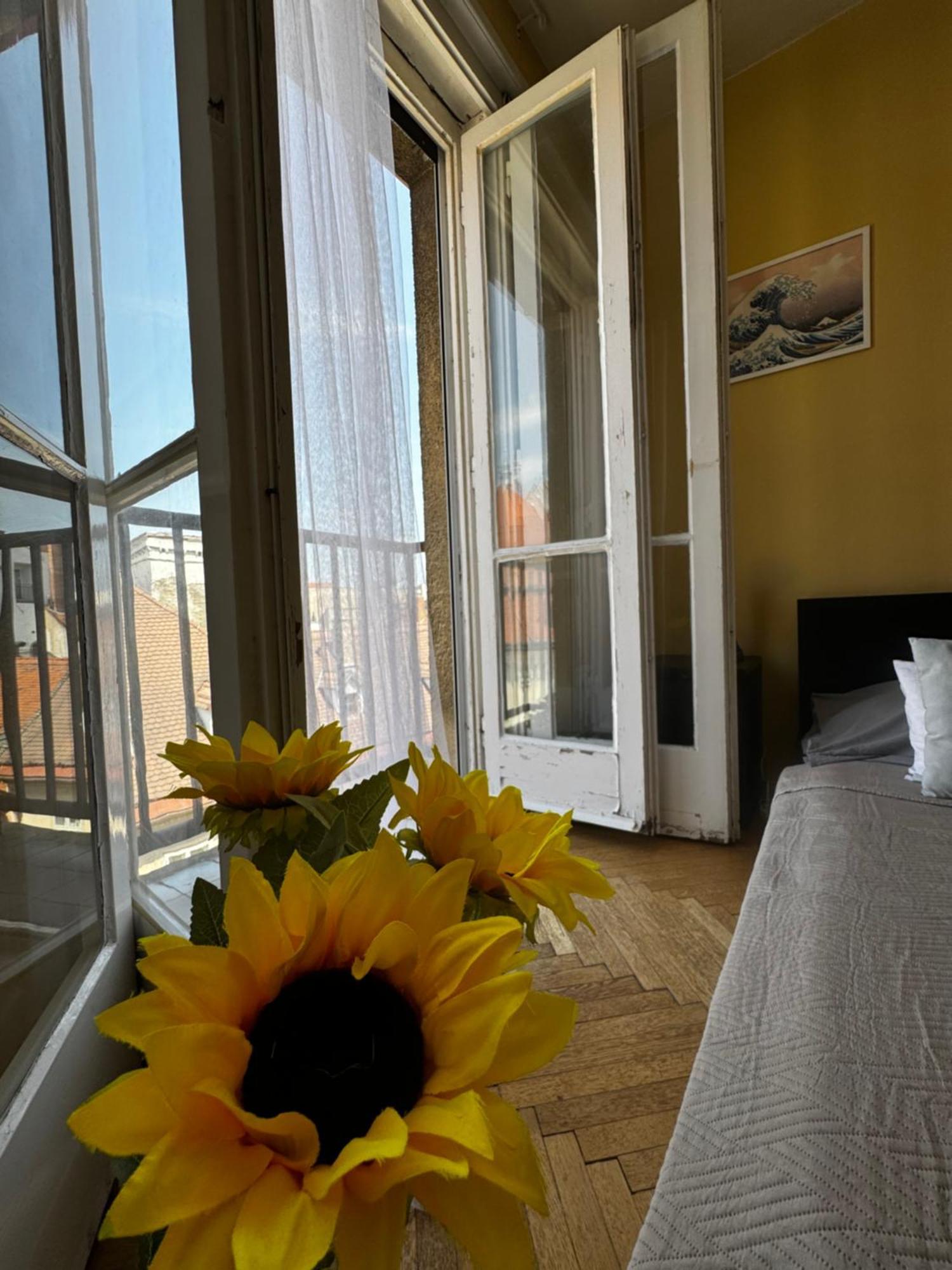 Extralarge Queen Room In The Heart Of Bratislava With Terrace 외부 사진