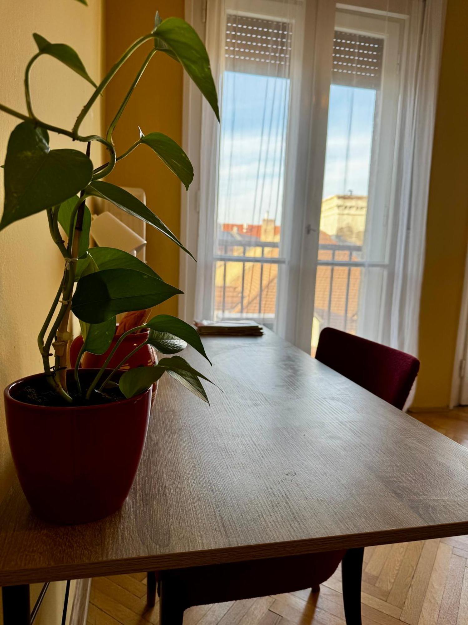 Extralarge Queen Room In The Heart Of Bratislava With Terrace 외부 사진